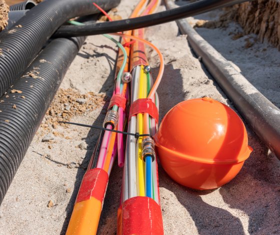 Shutterstock 2312315261