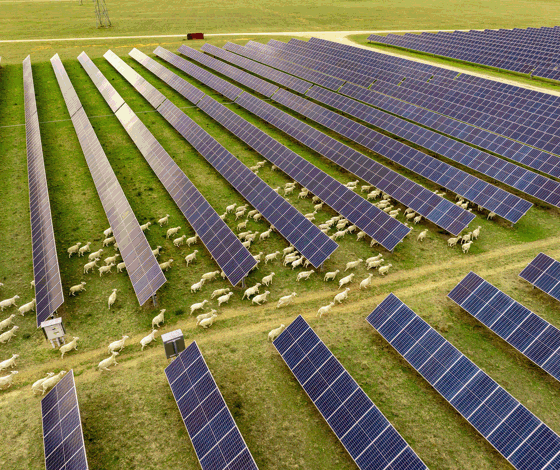 Darlington Point Solar Farm 1
